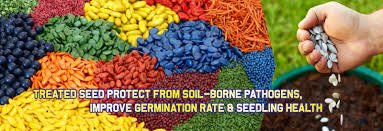 Seed Coating